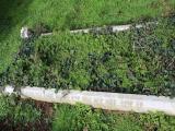 image of grave number 636694